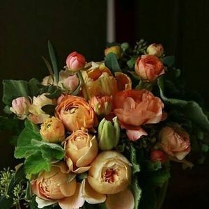 Meet your Posher, Maria